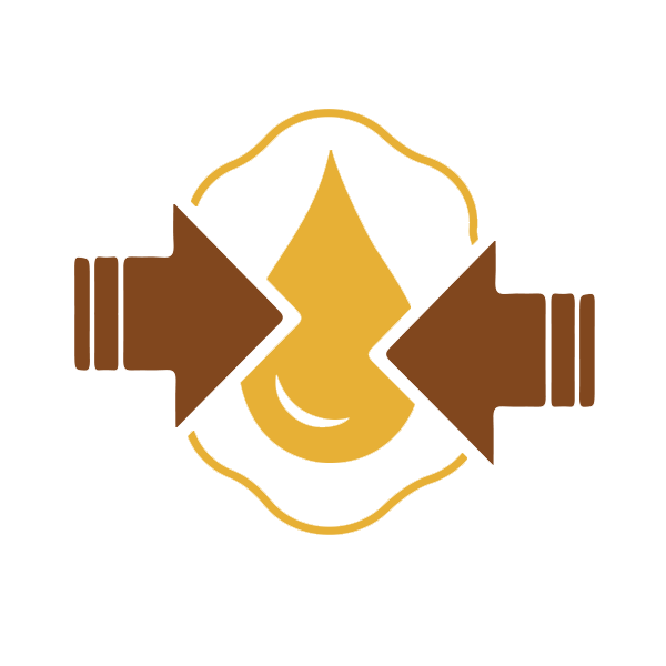 Mimořádná absorpce