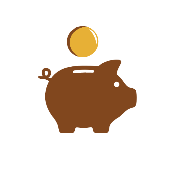 Ekonomické řešení