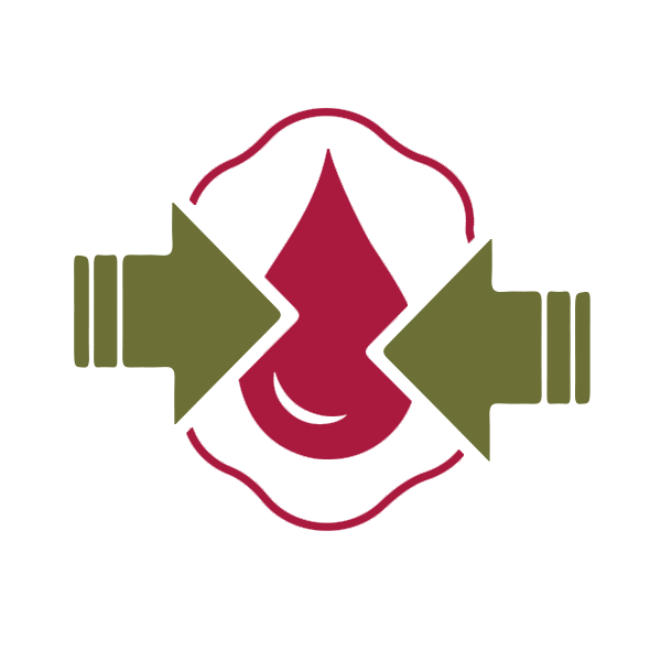 Mimořádná absorpce