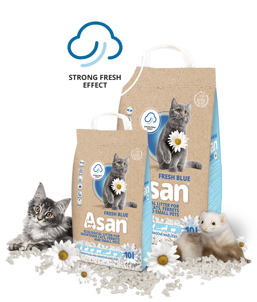 Asan Fresh Blue