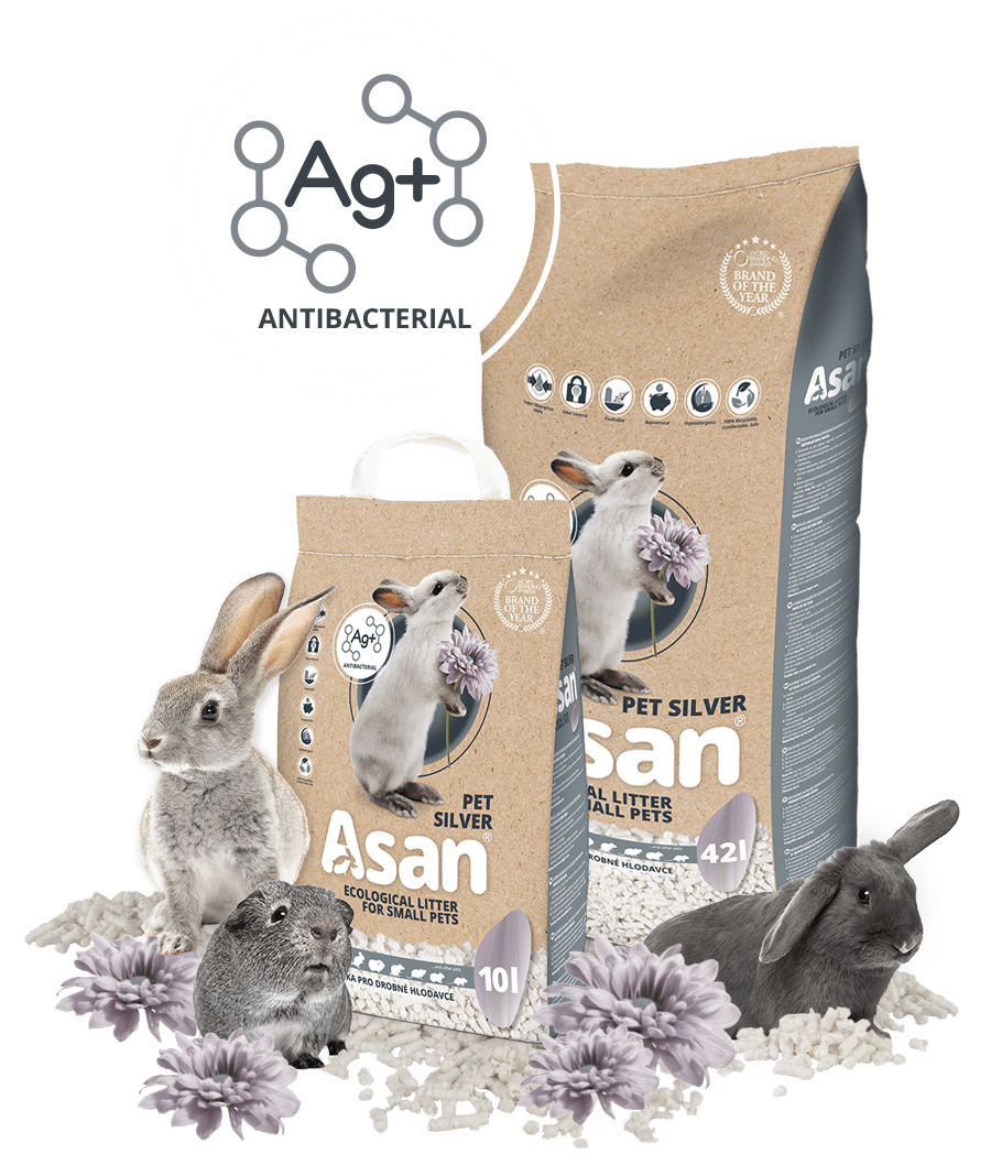 Asan Pet Silver