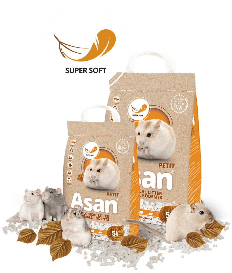 Asan Petit