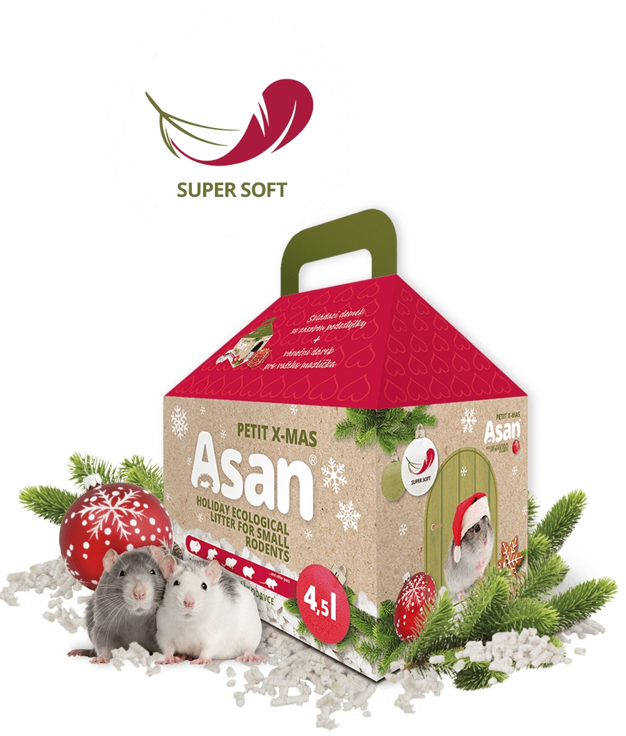 Asan Petit X-mas