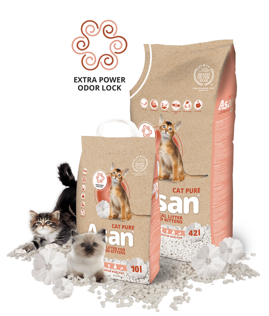 Asan Cat Pure
